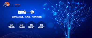 初入互联网 全网营销推广产品与销售的实用指南