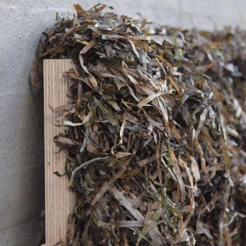 纺织新材料引领未来 2020年最新材料在产品设计中的创新应用与市场销售展望